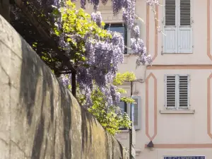 B&B le Cannelle Fiesole