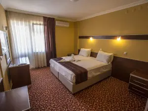 Hotel Arteka