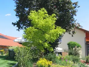 Wirth z ´ Moosham