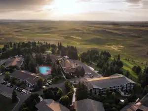 ลิตเติ้ล อเมริกา ไชแอนน์