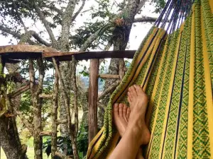 Cabana del Rio Lejos Pijao, Finca Flora del Rio