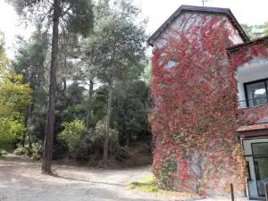 Rifugio Retreat Bed&Breakfast