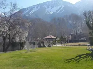 Tirch Mir View Chitral