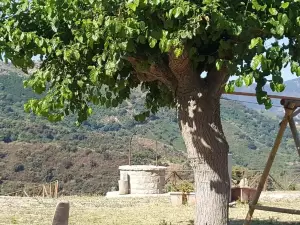 อกรีตูริสโม มามา ลินา