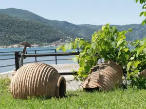 Ionian Memories