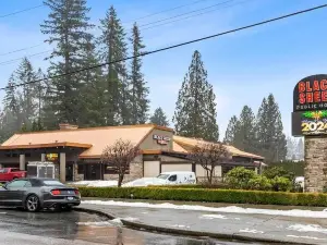 Cozy NEW basement suite located in beautiful Silver Valley, Maple Ridge