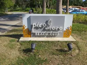 Pico de Loro - Myna B Studio