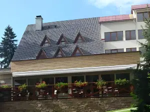 Hotel Termál
