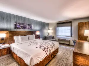 Sleep Inn Oakbrook Terrace - Chicago