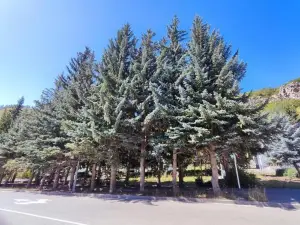 Jermuk Mini Apartment