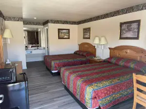 Lakeside Inn & Suites by OYO Mathis I 37