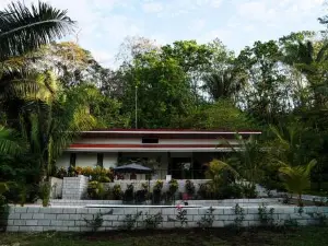 House in the Palm Forest