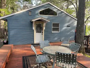 Lion on Sunset Lake/Chain O' Lakes/Nestled in the woods/Pet friendly!