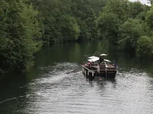 ル ニ ドゥ シゴーニュ