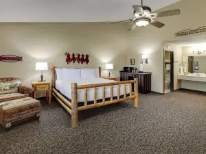 Stoney Creek Hotel la Crosse - Onalaska