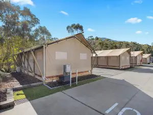 Big4 Yarra Valley Park Lane Holiday Park
