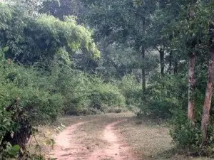 Bagh Sarai Resorts