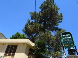 Chitral Green Guest House