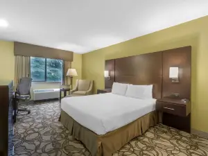 Best Western Plus Plaza by the Green
