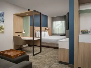 SpringHill Suites Charleston Airport & Convention Center