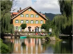 Hotel Zur Alten Mühle