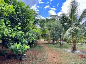 Ratanakiri Farmhouse & Trekking