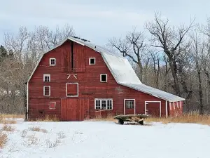 Historic Cabin Along the West Rosebud