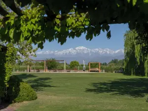 Posada Mawida