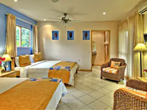 Hotel Sol Sámara