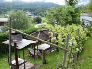 Hotel Olimpic