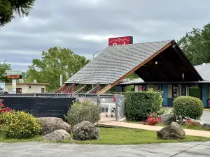 배가본드 인 레드 블러프