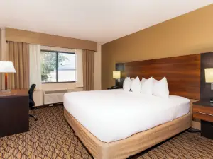 Grand Canyon Hotel & Suites