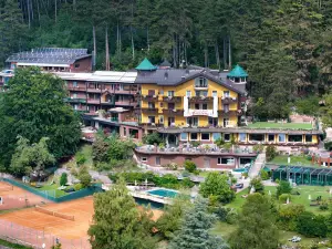 Alp Wellness Sport Hotel Panorama