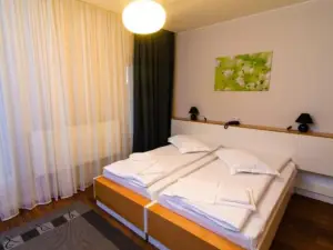 Pensiunea la Broscuta