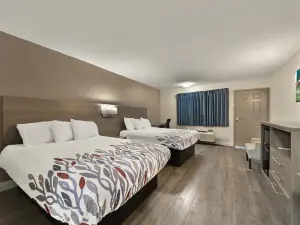 紅屋頂酒店洛杉磯-貝爾弗勞爾