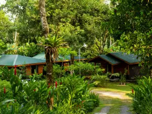 Eden Organic Farm & Bungalows