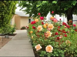 Maple Leaf Motel & RV Resort