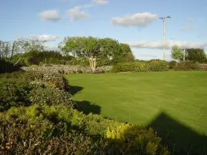 Springlawn