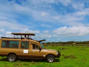 Africa Safari Serengeti Kusini