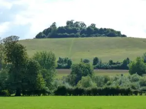 Pondside Barn