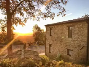 La Tana Del Picchio