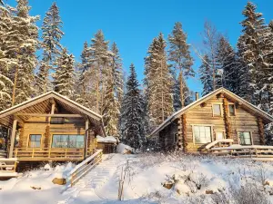 Villa Kaunisvirta