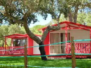 Parque de Campismo Orbitur Montargil