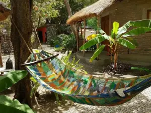 Evergreen Eco Lodge Retreat