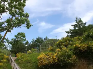 Astrocamp