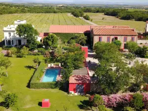 Clos des Aspres - Maison d'hôtes & Gite - Lieu de réception - Huile d'olive