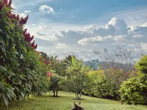 チャミ グランピング