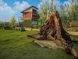 MPT Bison Resort, Madhai