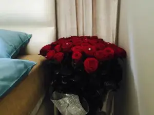 아파르타멘티 유포리아