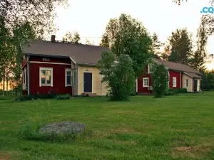 Pärus Fors